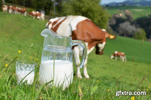 Stock Photos - Milk 2, 25xJPG