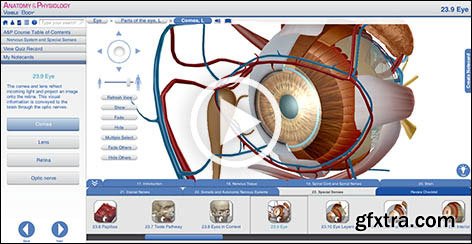 Visible Body Anatomy & Physiology v2014