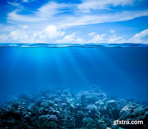 Amazing SS - Ocean underwater coral reef, 25xJPG