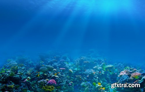 Amazing SS - Ocean underwater coral reef, 25xJPG