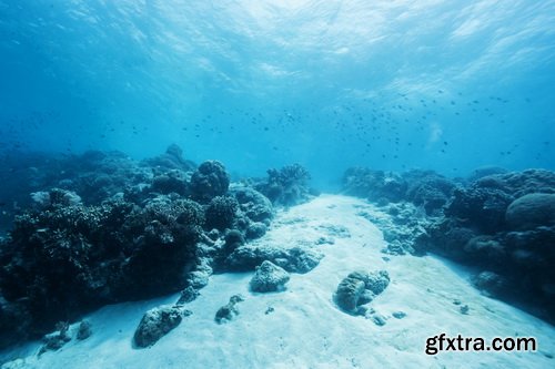 Amazing SS - Ocean underwater coral reef, 25xJPG