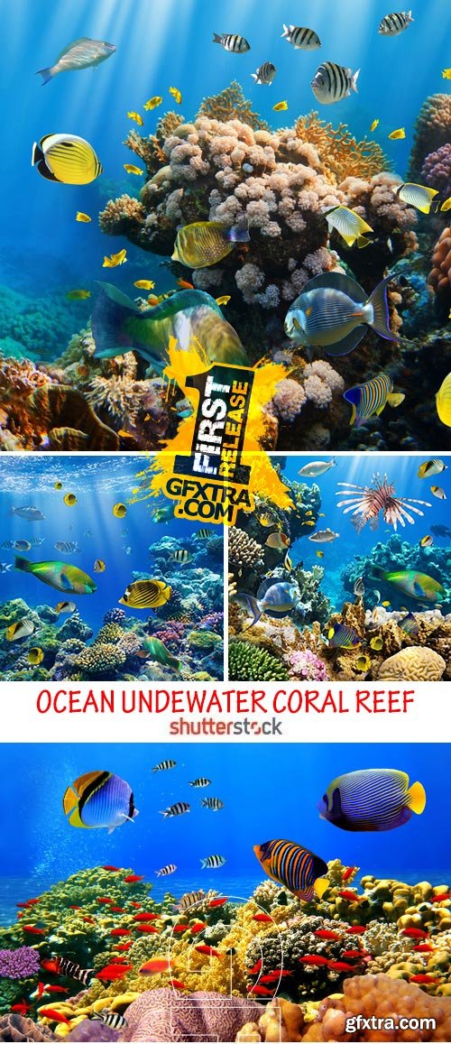 Amazing SS - Ocean underwater coral reef, 25xJPG