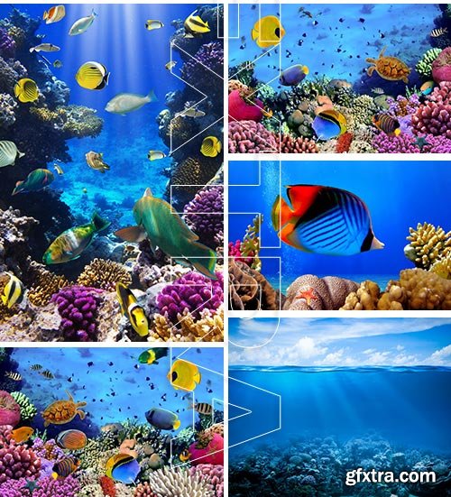 Amazing SS - Ocean underwater coral reef, 25xJPG