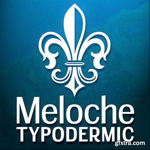 Meloche Font Family - 3 Font 81$