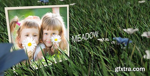 Videohive Meadow 6702113