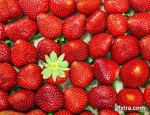 Stock Photos - Strawberry 2, 25xJPG