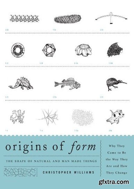 Origins of Form: The Shape of Natural and Man-made Things