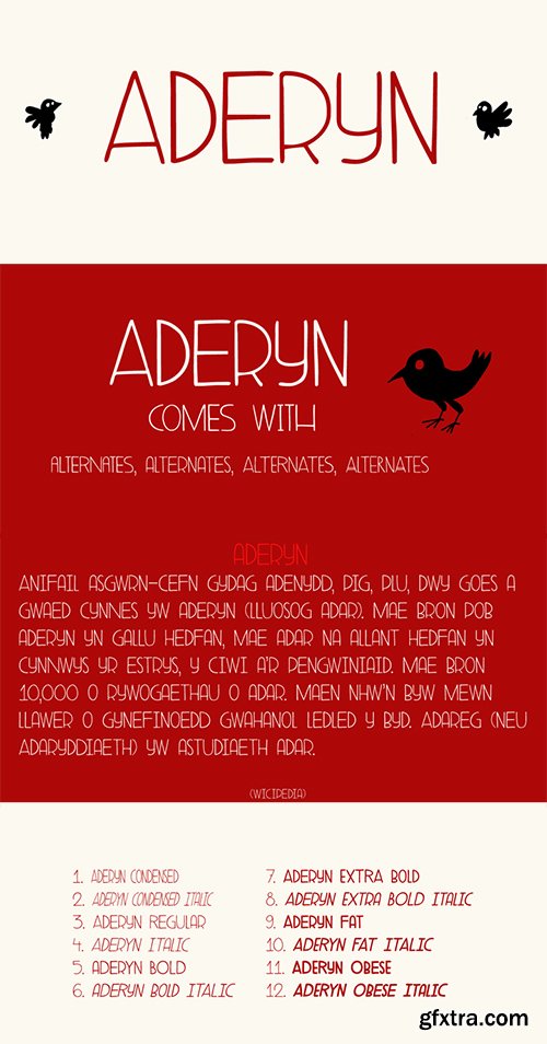 Aderyn Font Family - 12 Fonts 360$