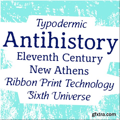 Antihistory Font Family - 2 Fonts 60$