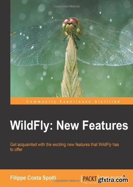 Wildfly: New Features