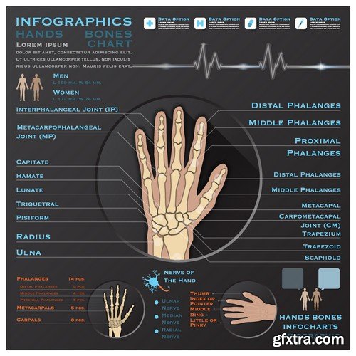 Stock Vectors - Medical Infographic 6, 25xEPS