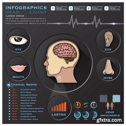 Stock Vectors - Medical Infographic 6, 25xEPS