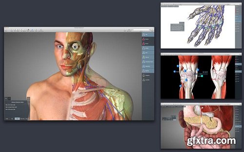 Essential Anatomy 4.0 (Mac OS X)