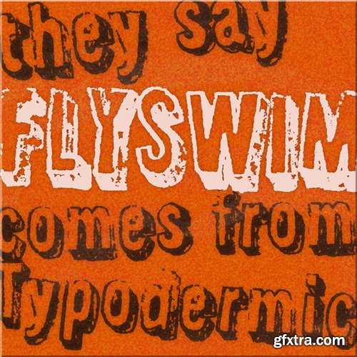 Flyswim Font - 1 Font 30$