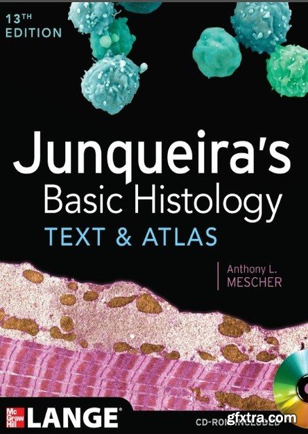 Junqueira's Basic Histology: Text and Atlas, Thirteenth Edition