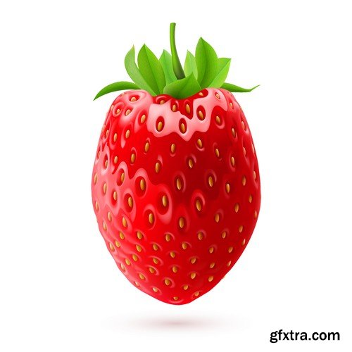 Stock Vectors - Strawberry 4, 25xEPS