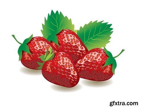 Stock Vectors - Strawberry 4, 25xEPS