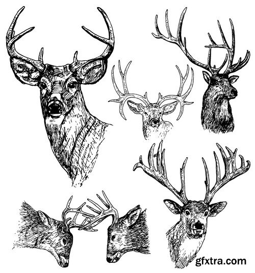 Stock Vectors - Hunting 2, 25xEPS