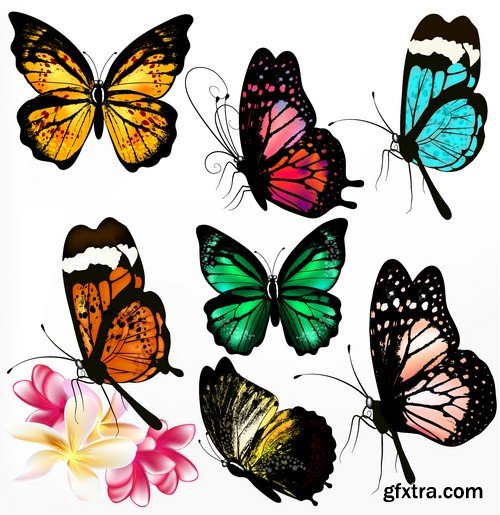 Stock Vectors - Butterfly 3, 25xEPS