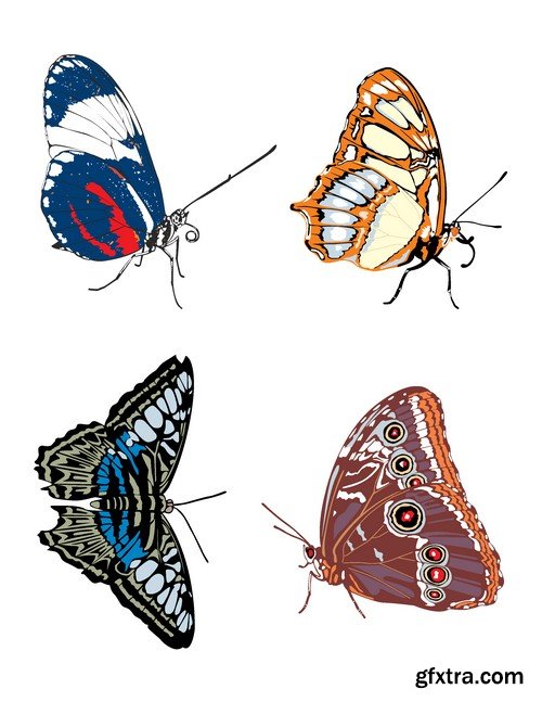 Stock Vectors - Butterfly 3, 25xEPS