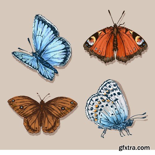 Stock Vectors - Butterfly 3, 25xEPS