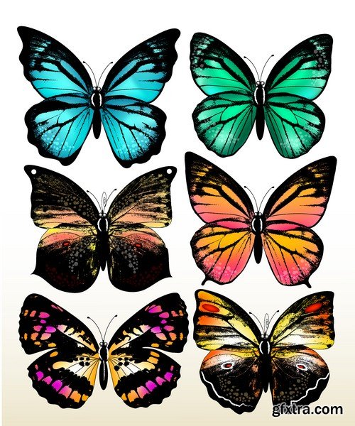 Stock Vectors - Butterfly 3, 25xEPS