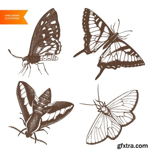 Stock Vectors - Butterfly 3, 25xEPS