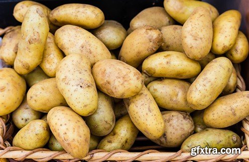 Stock Photos - Potato, 25xJPG