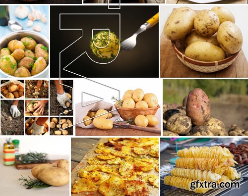 Stock Photos - Potato, 25xJPG