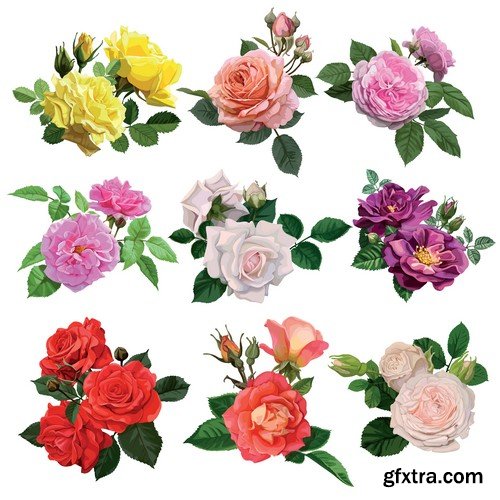 Stock Vectors - Rose, floral background, 25xEPS