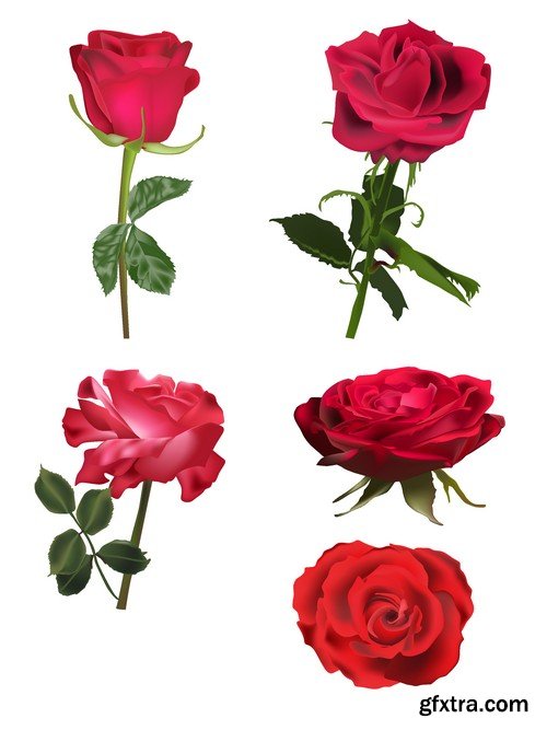 Stock Vectors - Rose, floral background, 25xEPS