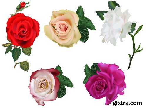 Stock Vectors - Rose, floral background, 25xEPS