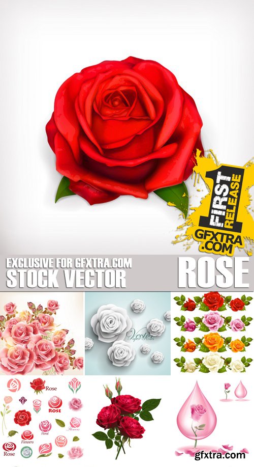 Stock Vectors - Rose, floral background, 25xEPS