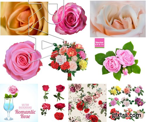 Stock Vectors - Rose, floral background, 25xEPS