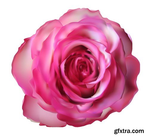 Stock Vectors - Rose, floral background, 25xEPS