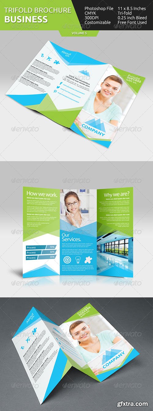 GraphicRiver - Business Tri-fold Brochure - V5 6958147