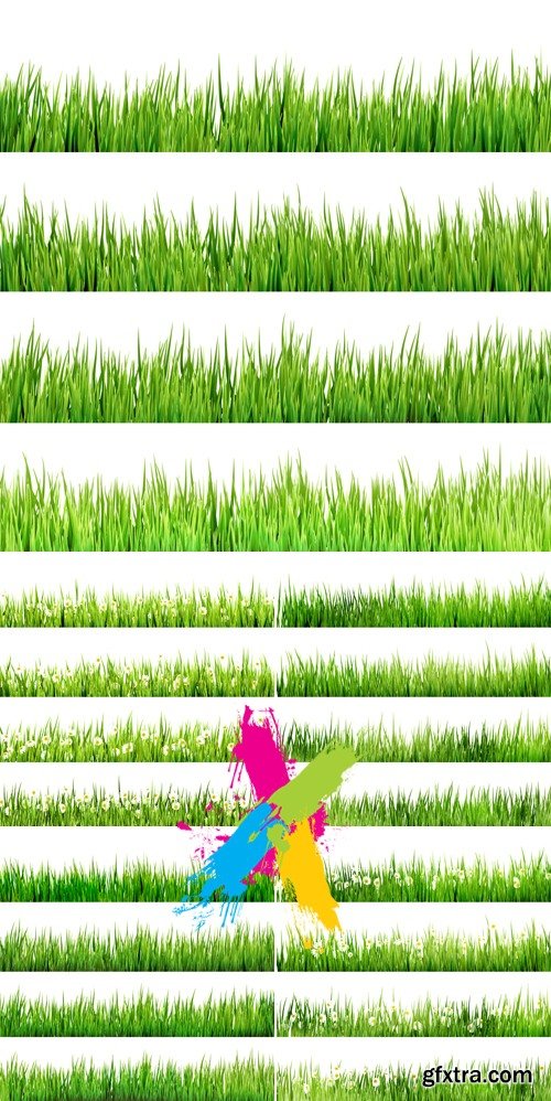 Green Grass & Flowers Borders Vector