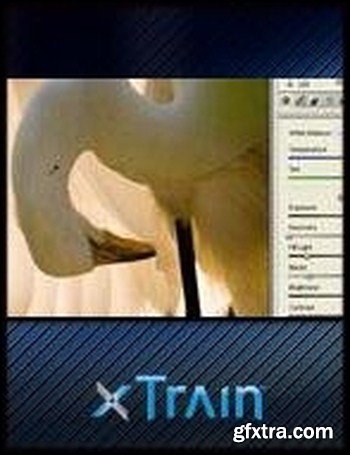 XTrain - Camera Raw for Photographers