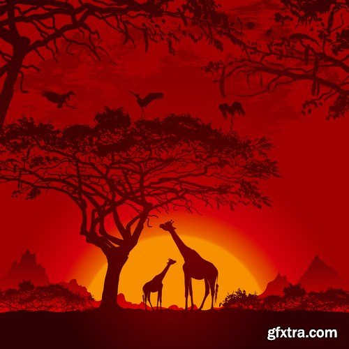 Africa Sign & Symbols - 25 Vector