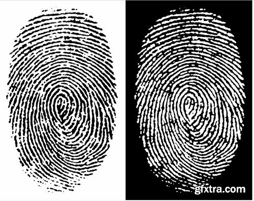 Fingerprint - 25 Vector