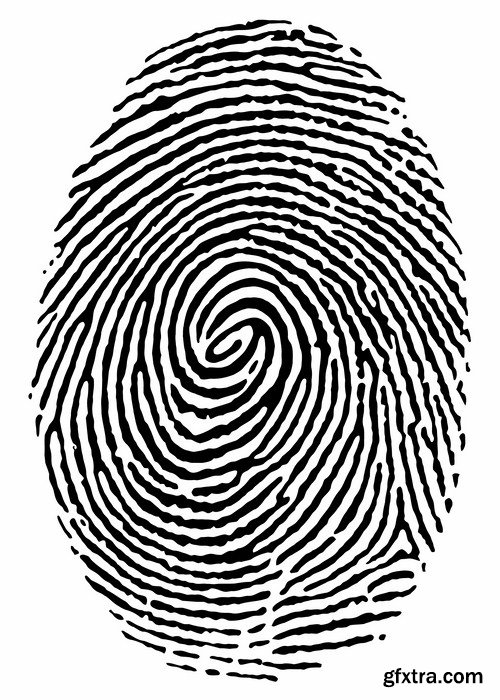 Fingerprint - 25 Vector