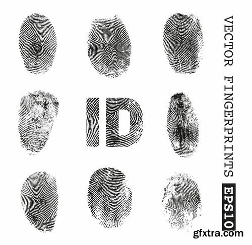 Fingerprint - 25 Vector