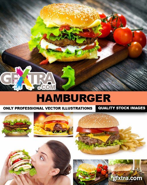 Hamburger - 25 HQ Images