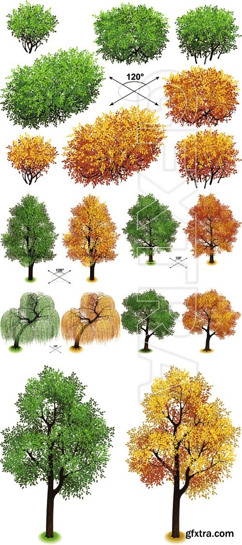 Isometric Green & Autumn Trees Vector