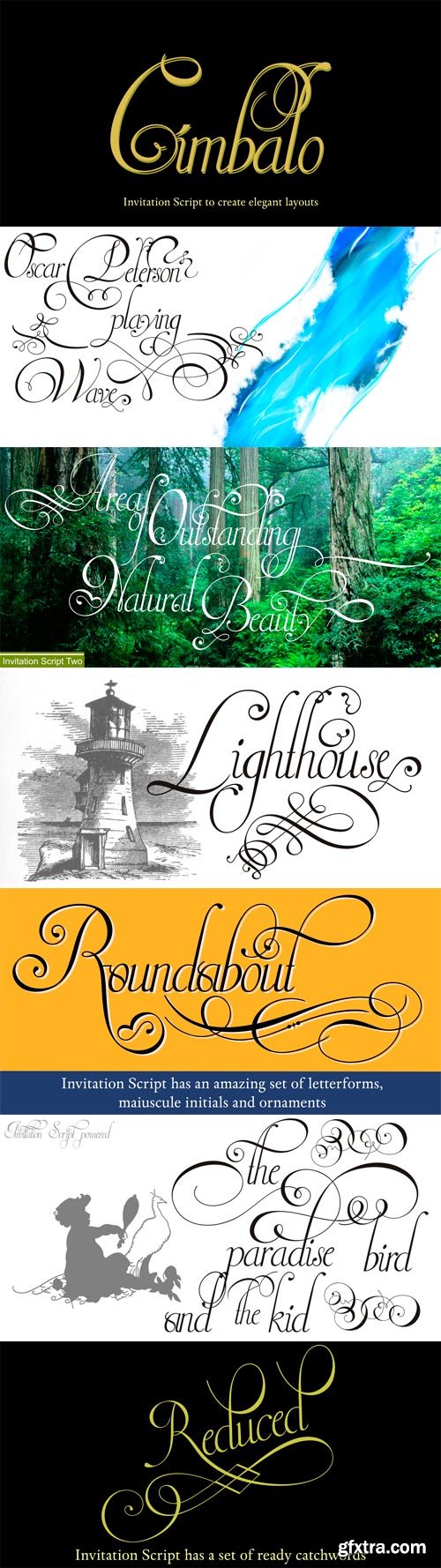 Invitation Script Font Family - 4 Fonts for $132