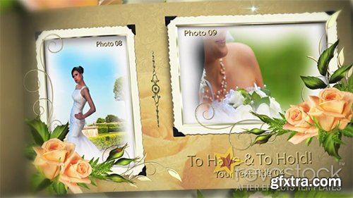 Revostock Our Precious Wedding Album 412783