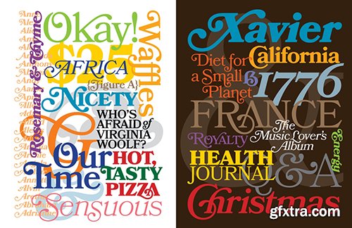 Bookmania Font Family - 10 Font $290