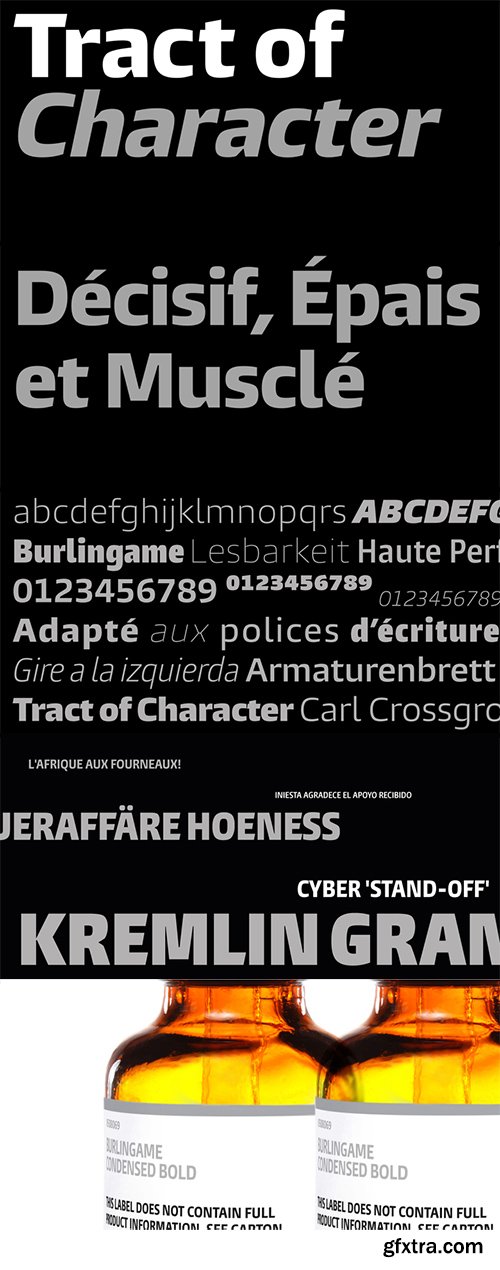 The Burlingame Font Family - 56 Font $1500