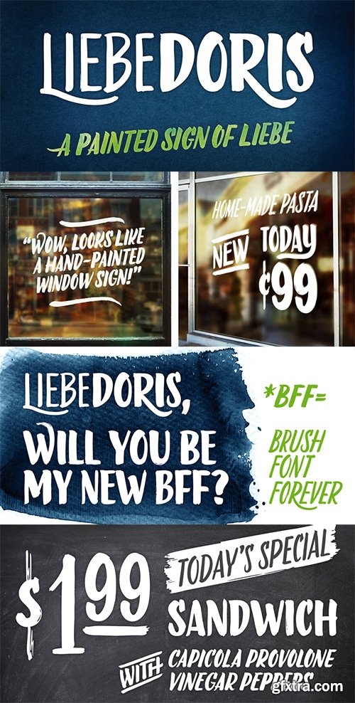 LiebeDoris Font Family - 4 Font $120