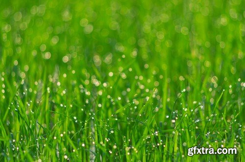 Stock Photos - Green grass 3, 25xJPG